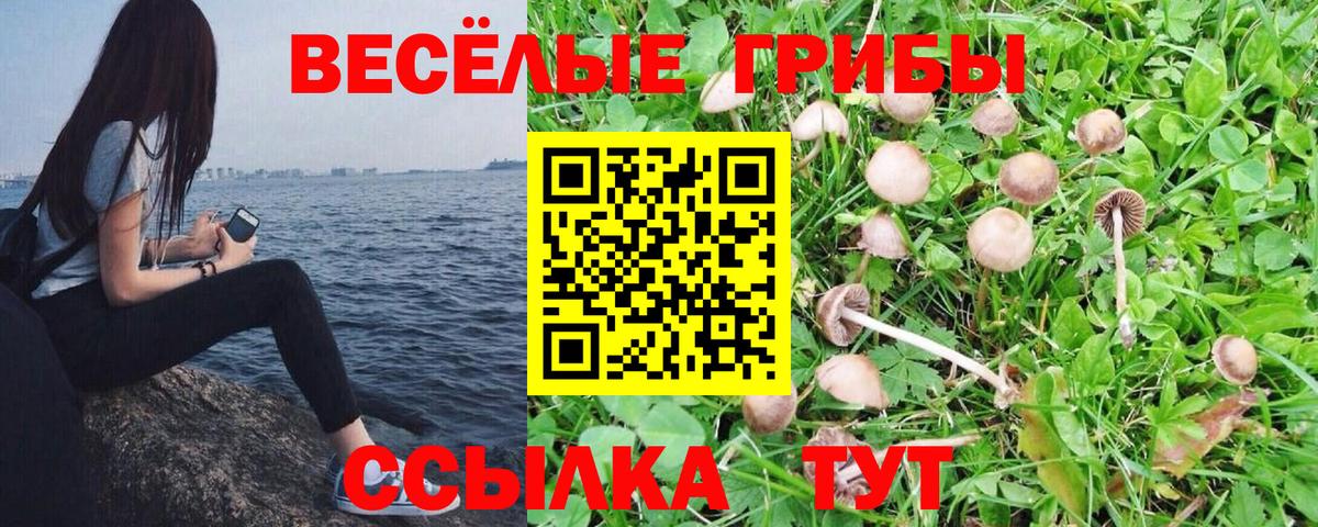 Псилоцибиновые грибы Magic Shrooms  Вход с VPN  Выкса 